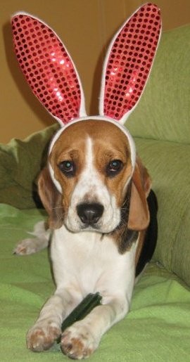 Foto de mi gordi en carnaval Foto de mi gordi en carnaval